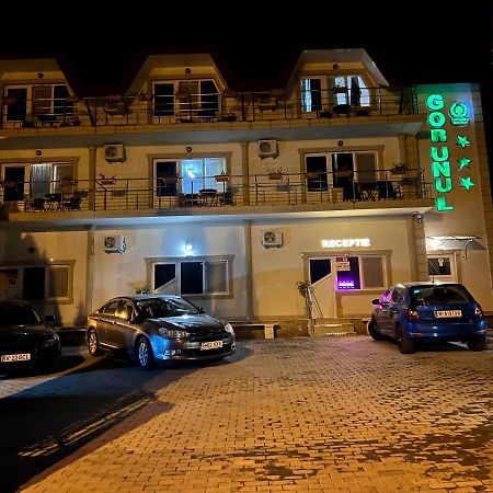 Hotel Gorunul Hunedoara Buitenkant foto